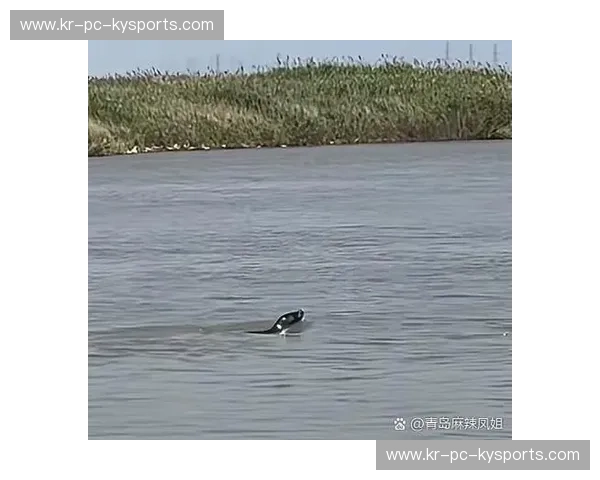 游泳首发全攻略——开启你的水中传奇之旅 游泳首发全攻略——开启你的水中传奇之旅